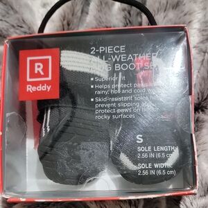 Reddy Black Dog Footwear